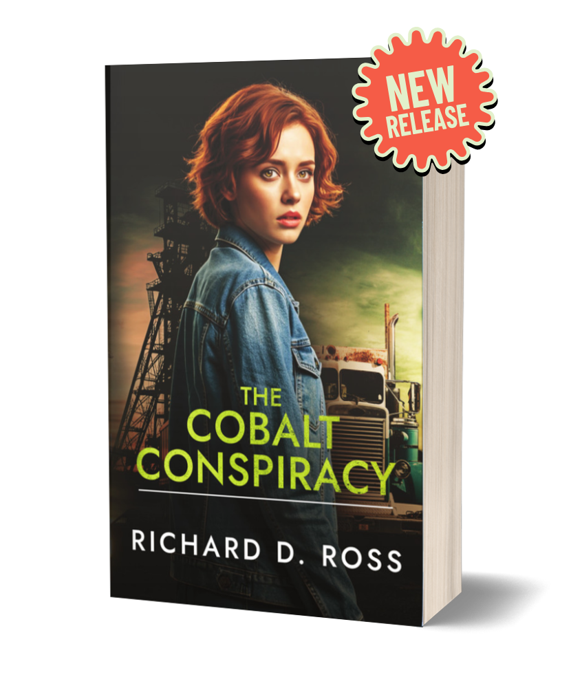 The Cobweb enigma cover